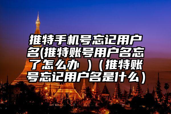 推特手机号忘记用户名(推特账号用户名忘了怎么办 )（推特账号忘记用户名是什么）