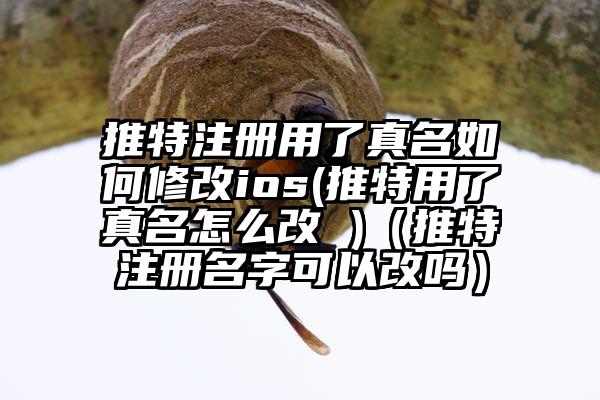 推特注册用了真名如何修改ios(推特用了真名怎么改 )（推特注册名字可以改吗）