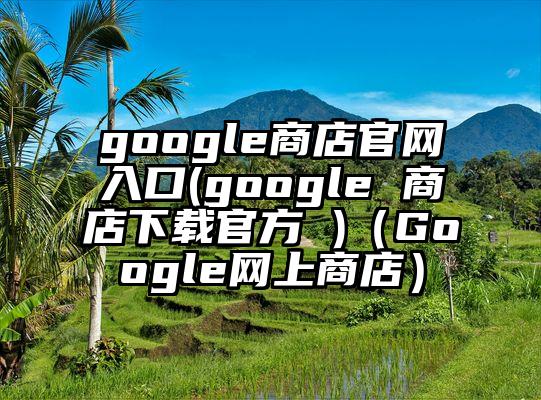 google商店官网入口(google 商店下载官方 )（Google网上商店）