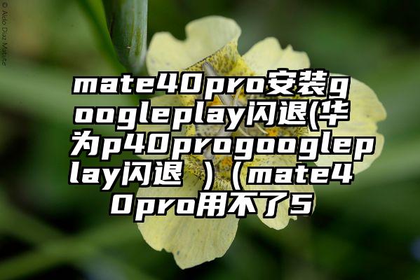 mate40pro安装googleplay闪退(华为p40progoogleplay闪退 )（mate40pro用不了5