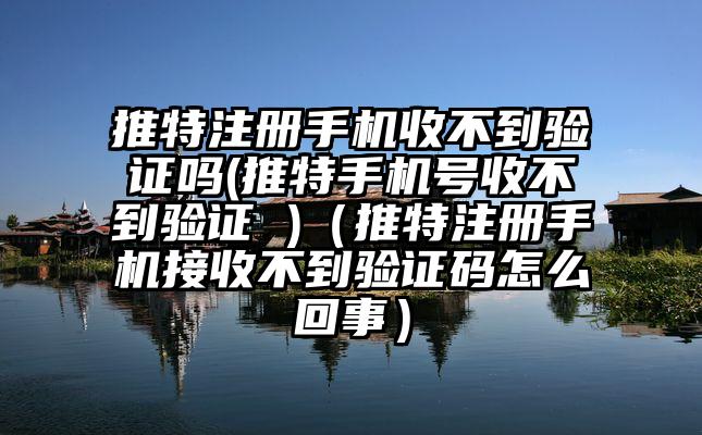 推特注册手机收不到验证吗(推特手机号收不到验证 )（推特注册手机接收不到验证码怎么回事）