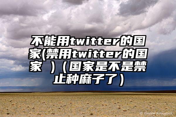不能用twitter的国家(禁用twitter的国家 )（国家是不是禁止种麻子了）