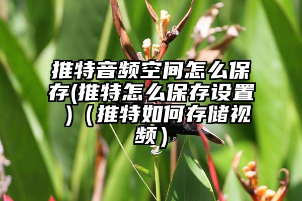 推特音频空间怎么保存(推特怎么保存设置 )（推特如何存储视频）