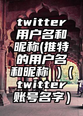 twitter用户名和昵称(推特的用户名和昵称 )（twitter账号名字）