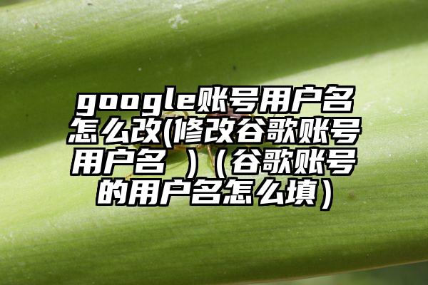 google账号用户名怎么改(修改谷歌账号用户名 )（谷歌账号的用户名怎么填）