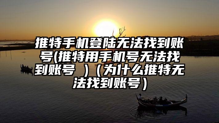 推特手机登陆无法找到账号(推特用手机号无法找到账号 )（为什么推特无法找到账号）