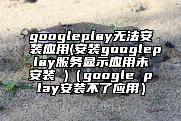 googleplay无法安装应用(安装googleplay服务显示应用未安装 )（google play安装不了应用）