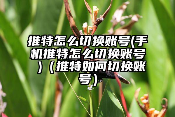 推特怎么切换账号(手机推特怎么切换账号 )（推特如何切换账号）