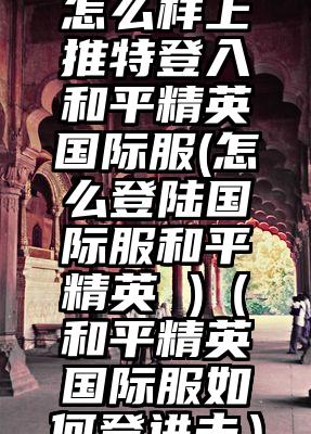 怎么样上推特登入和平精英国际服(怎么登陆国际服和平精英 )（和平精英国际服如何登进去）