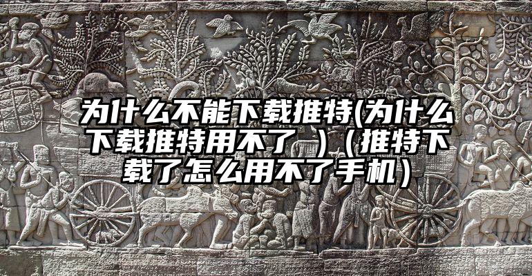 为什么不能下载推特(为什么下载推特用不了 )（推特下载了怎么用不了手机）