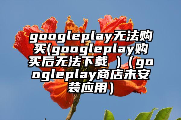googleplay无法购买(googleplay购买后无法下载 )（googleplay商店未安装应用）