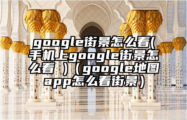 google街景怎么看(手机上google街景怎么看 )（google地图app怎么看街景）