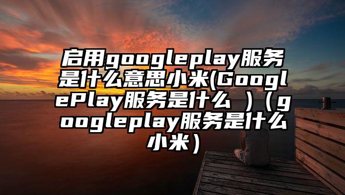 启用googleplay服务是什么意思小米(GooglePlay服务是什么 )（googleplay服务是什么小米）