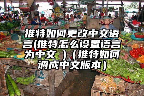 推特如何更改中文语言(推特怎么设置语言为中文 )(推特如何调成中文版本)
