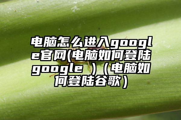 电脑怎么进入google官网(电脑如何登陆google )（电脑如何登陆谷歌）