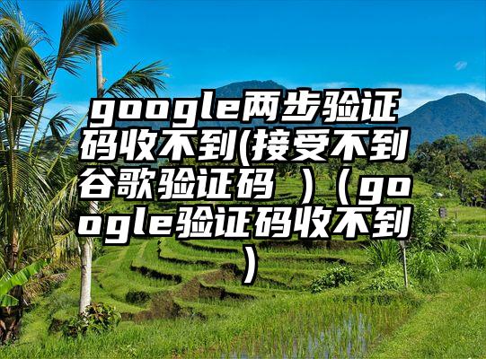 google两步验证码收不到(接受不到谷歌验证码 )（google验证码收不到）