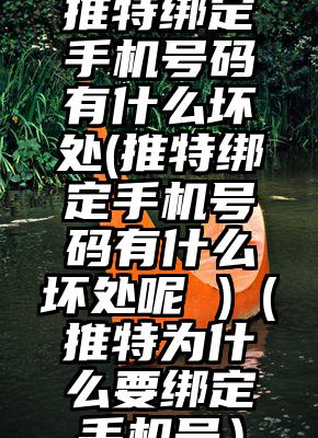 推特绑定手机号码有什么坏处(推特绑定手机号码有什么坏处呢 )（推特为什么要绑定手机号）