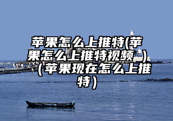 苹果怎么上推特(苹果怎么上推特视频 )（苹果现在怎么上推特）