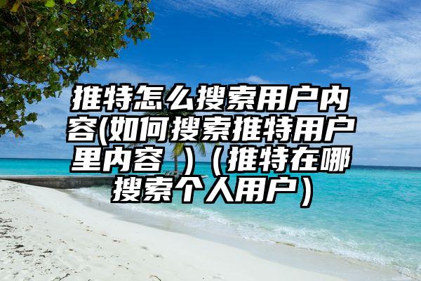 推特怎么搜索用户内容(如何搜索推特用户里内容 )（推特在哪搜索个人用户）