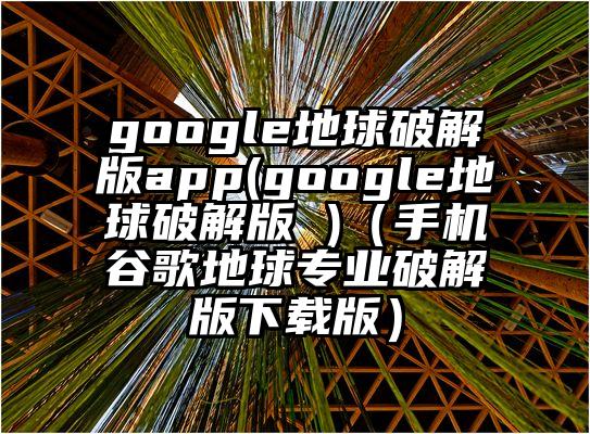 google地球破解版app(google地球破解版 )（手机谷歌地球专业破解版下载版）