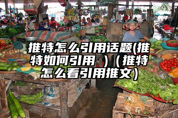 推特怎么引用话题(推特如何引用 )（推特怎么看引用推文）