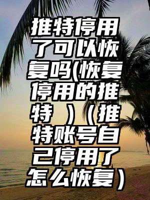 推特停用了可以恢复吗(恢复停用的推特 )（推特账号自己停用了怎么恢复）