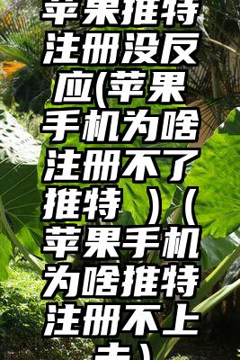 苹果推特注册没反应(苹果手机为啥注册不了推特 )（苹果手机为啥推特注册不上去）