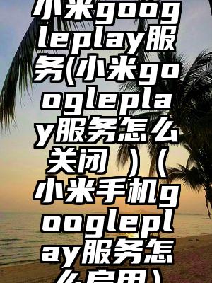 小米googleplay服务(小米googleplay服务怎么关闭 )（小米手机googleplay服务怎么启用）