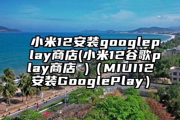 小米12安装googleplay商店(小米12谷歌play商店 )（MIUI12安装GooglePlay）