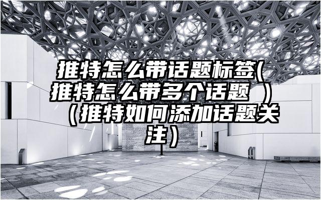 推特怎么带话题标签(推特怎么带多个话题 )(推特如何添加话题关注)