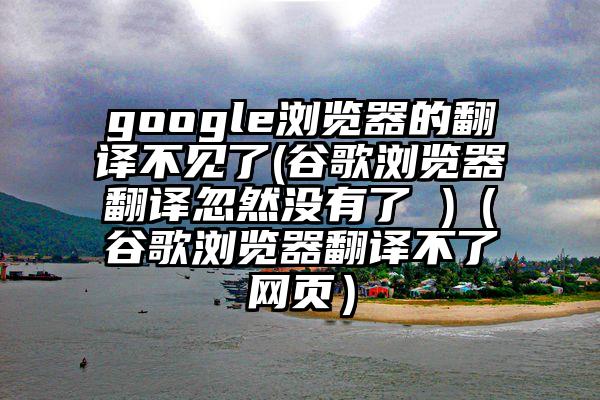 google浏览器的翻译不见了(谷歌浏览器翻译忽然没有了 )（谷歌浏览器翻译不了网页）