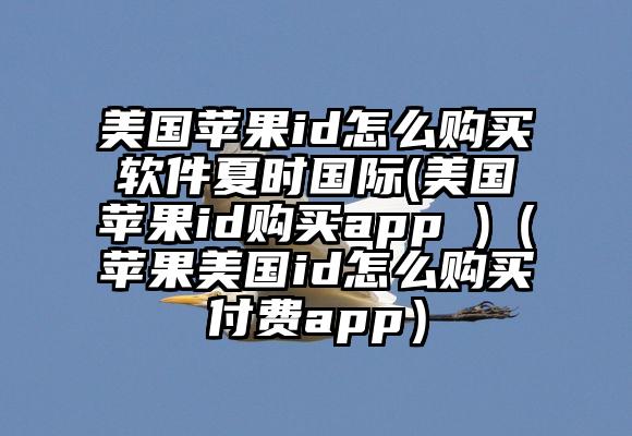 美国苹果id怎么购买软件夏时国际(美国苹果id购买app )（苹果美国id怎么购买付费app）