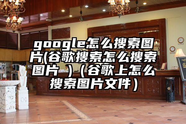 google怎么搜索图片(谷歌搜索怎么搜索图片 )（谷歌上怎么搜索图片文件）