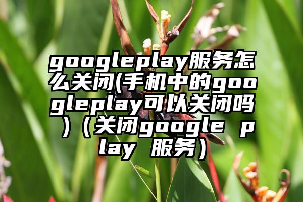 googleplay服务怎么关闭(手机中的googleplay可以关闭吗 )（关闭google play 服务）
