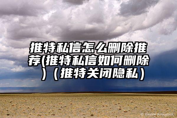 推特私信怎么删除推荐(推特私信如何删除 )(推特关闭隐私)