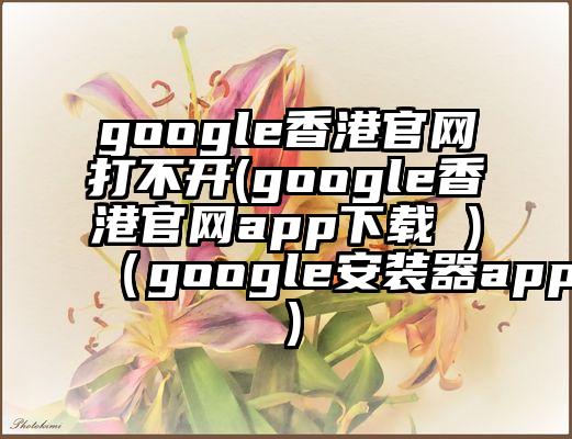 google香港官网打不开(google香港官网app下载 )（google安装器app）