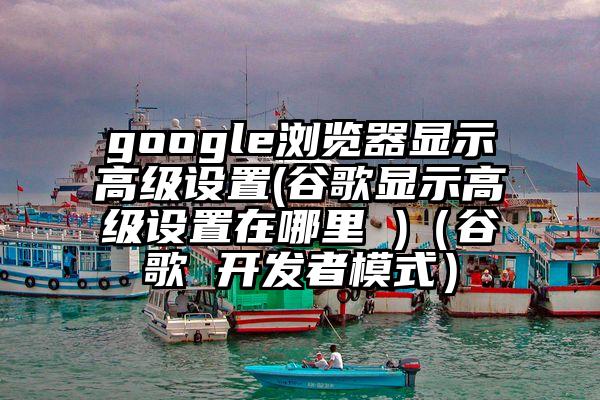 google浏览器显示高级设置(谷歌显示高级设置在哪里 )（谷歌 开发者模式）