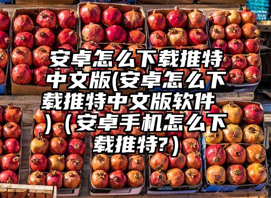 安卓怎么下载推特中文版(安卓怎么下载推特中文版软件 )（安卓手机怎么下载推特?）