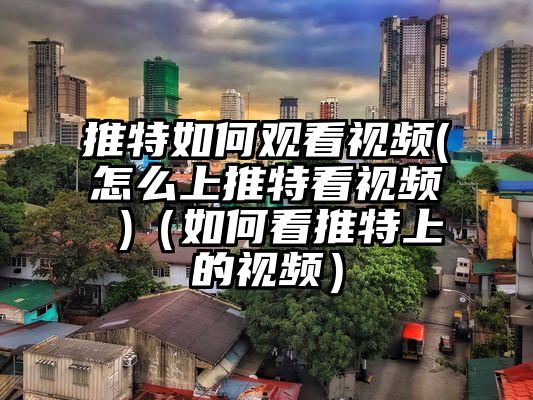 推特如何观看视频(怎么上推特看视频 )(如何看推特上的视频)