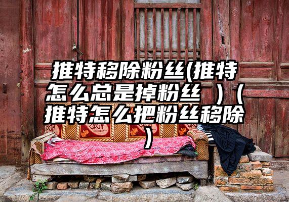 推特移除粉丝(推特怎么总是掉粉丝 )（推特怎么把粉丝移除）