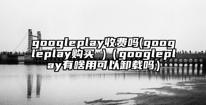 googleplay收费吗(googleplay购买 )（googleplay有啥用可以卸载吗）