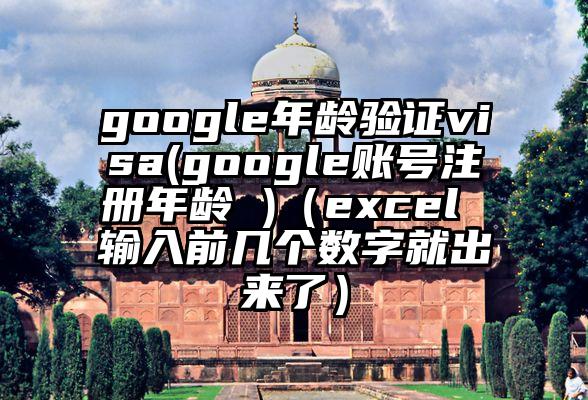 google年龄验证visa(google账号注册年龄 )（excel 输入前几个数字就出来了）