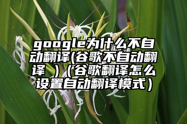 google为什么不自动翻译(谷歌不自动翻译 )（谷歌翻译怎么设置自动翻译模式）