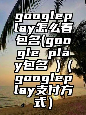 googleplay怎么看包名(google play包名 )(googleplay支付方式)