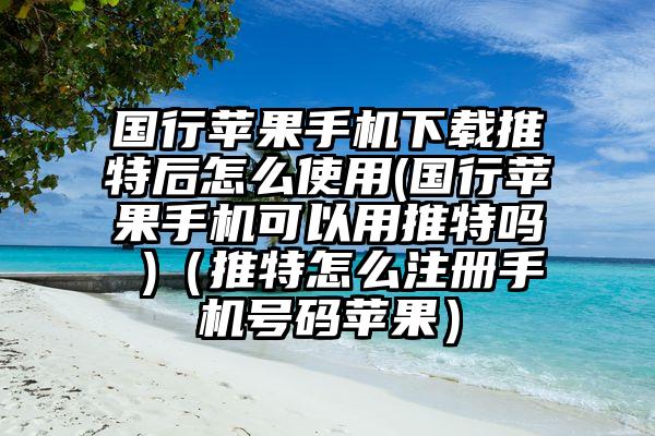 国行苹果手机下载推特后怎么使用(国行苹果手机可以用推特吗 )（推特怎么注册手机号码苹果）