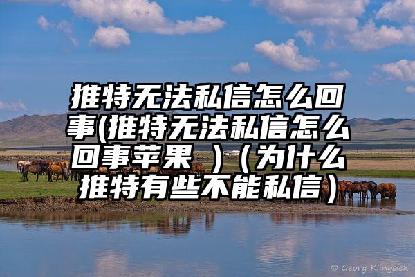 推特无法私信怎么回事(推特无法私信怎么回事苹果 )（为什么推特有些不能私信）