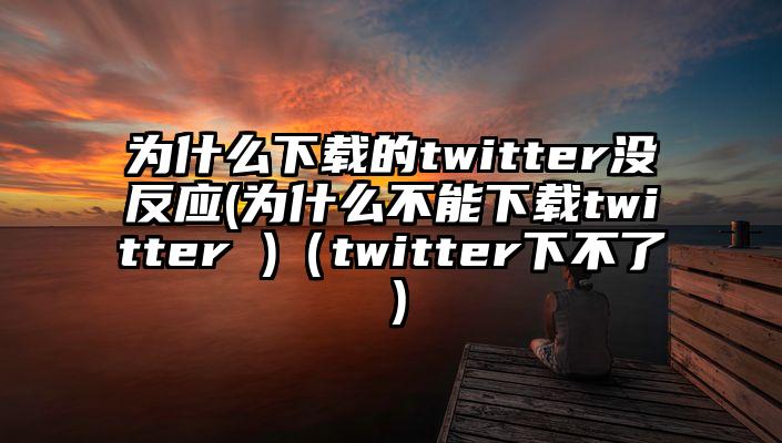 为什么下载的twitter没反应(为什么不能下载twitter )（twitter下不了）