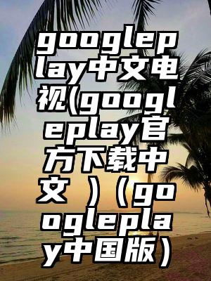 googleplay中文电视(googleplay官方下载中文 )（googleplay中国版）