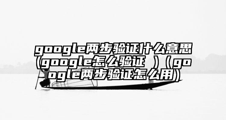 google两步验证什么意思(google怎么验证 )（google两步验证怎么用）