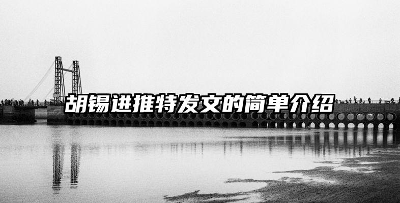 胡锡进推特发文的简单介绍